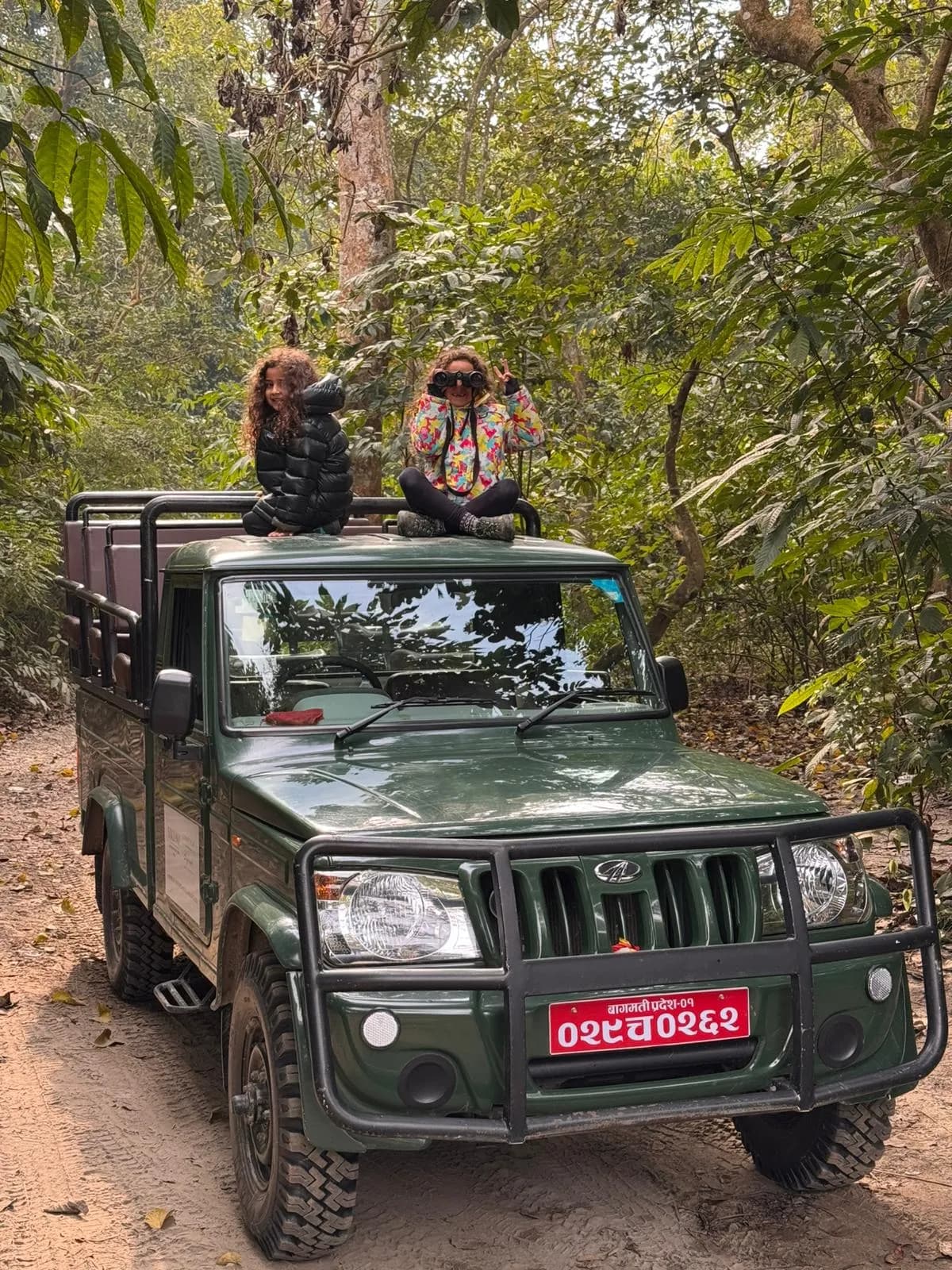 Jeep safari in Chitwan National Park